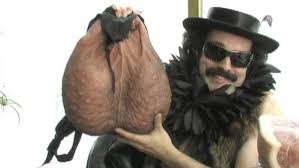 1733106995547770.jpg 蛋蛋.jpg